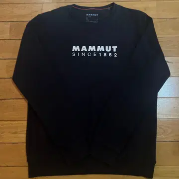 MAMMUT 트레이닝복 XL 사이즈