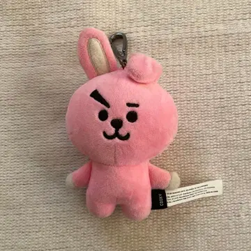 BTS BT21 COOKY 백참