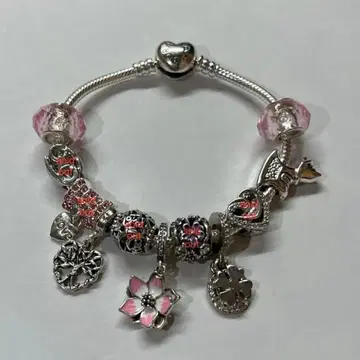 기간 한정 가격 pandora style charm 참 6개 세트