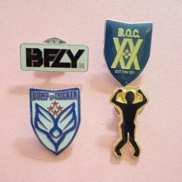 BUMP OF CHICKEN 핀 배지 4개 세트 (시크릿 포함)