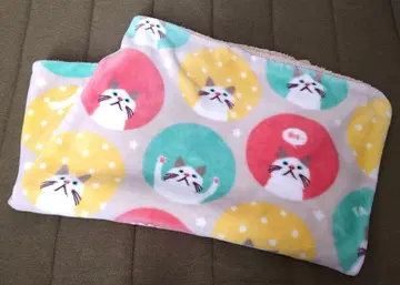 타짱 보아 담요