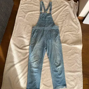 Dendrobium 라이트 블루 살로펫 오버롤