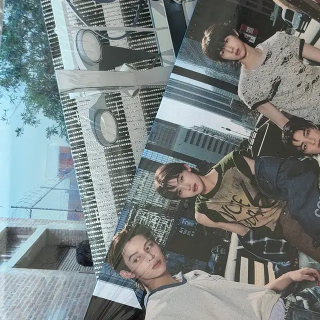 코르티스 앨범 세트 미개봉