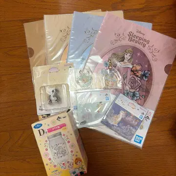 디즈니 프린세스 클리어 파일 5장 세트