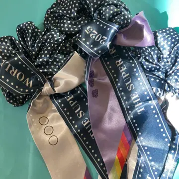 THE SUPER FRUIT 스파풀 월드 랜덤 스크런치 리본 3개입