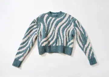 ZARA 제브라 패턴 촉촉 니트