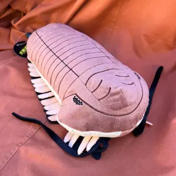 대절멸전 삼엽충 봉제 인형 미사용 새상품 특별전 국립과학박물관