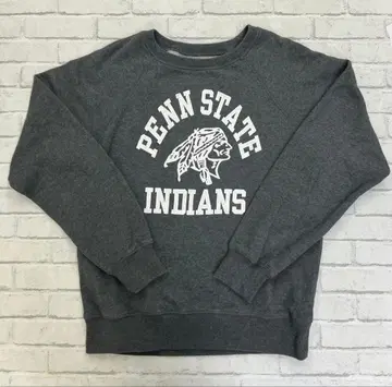 G954 챔피온 맨투맨 트레이닝복 인디언 패턴 차콜 그레이