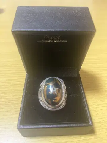 알렉스 스트리터 갤럭시 어스