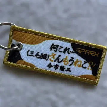 이마이치 류지 키링