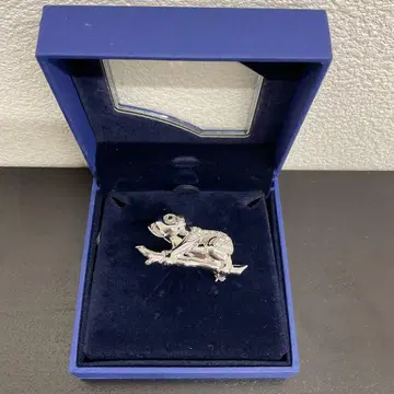 [ 새상품급 ] Swarovski 스와로브스키 코알라 브로치 상자