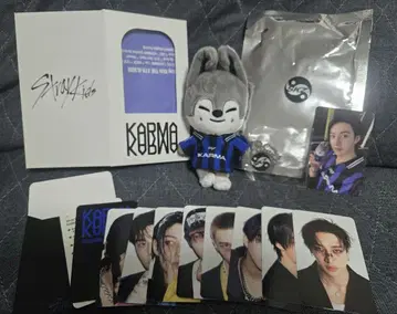 익명 배송 KARMA SKZOO ver 울프 방찬