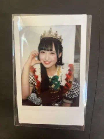 와카바노아 트럼프 의상 란폴라로이드