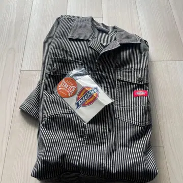 Dickies 스트라이프 오버롤 L