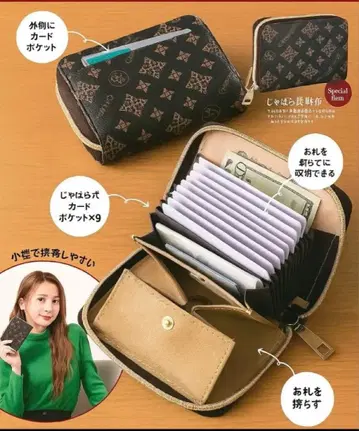 크리스찬 올리비에 지갑 카드 포켓 24개