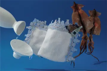 치카자와 레이스 술