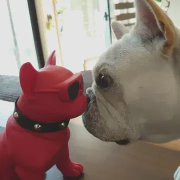 클로즈업 파우치 판매 공지