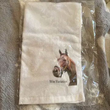 경마 윈 바리시온 타월