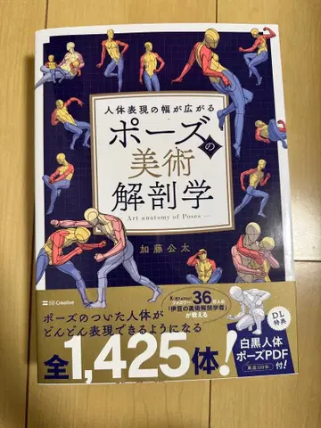 포즈의 미술 해부학