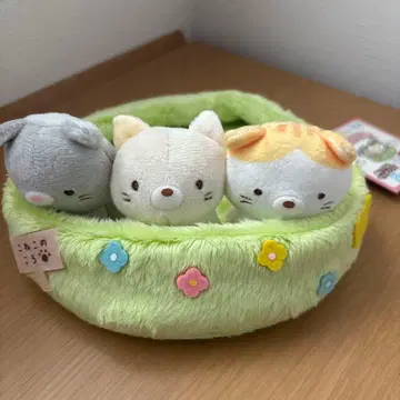 스미코구라시 고양이 3형제 멀티 트레이 고양이 형제를 만났습니다