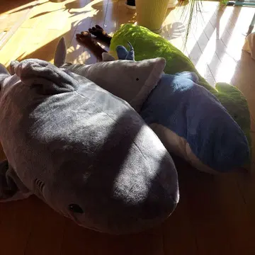 상어 프테라노돈 빅 봉제 인형