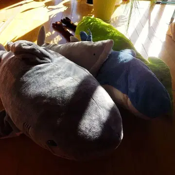 상어 프테라노돈 빅 봉제 인형