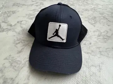 조던 라이즈 스트럭처드 캡