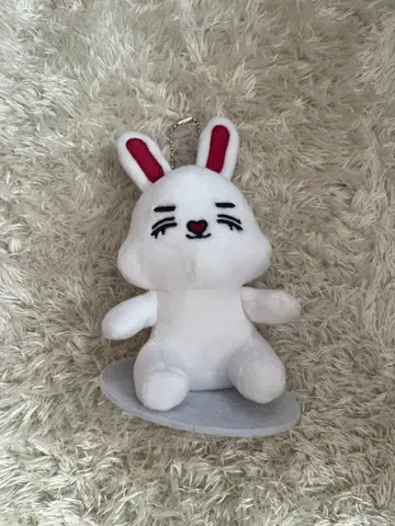 MINITEEN 에스크프스