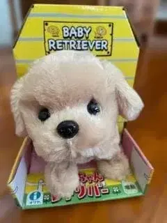 아카짱 리트리버 이와야