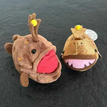 초롱아귀 2개 세트