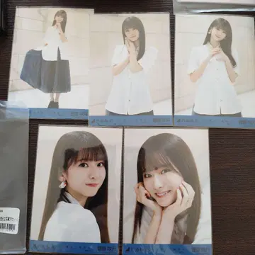 스가와라 사츠키 사람은 꿈을 두 번 본다 5장 세트