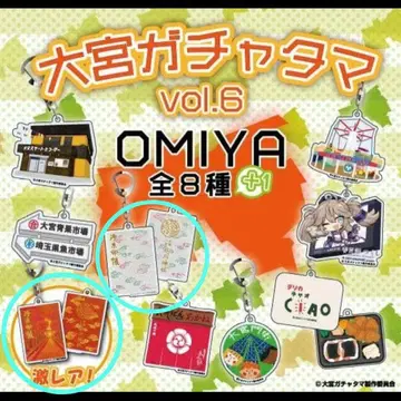 오미야 가챠타마 vol.6 히카와 신사 2종류