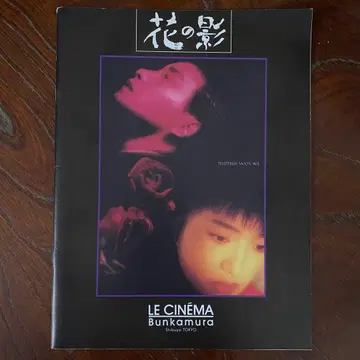 영화 팜플렛 [꽃의 그림자] 레슬리 장, 공리