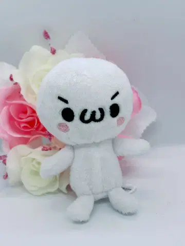 카오모진 마스코트