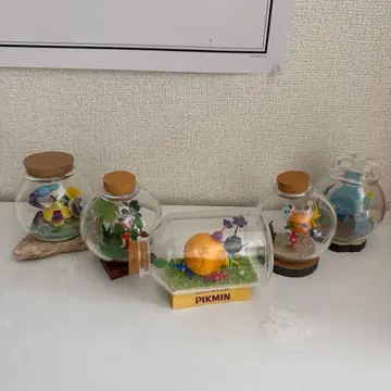 피크민 테라리움 5세트