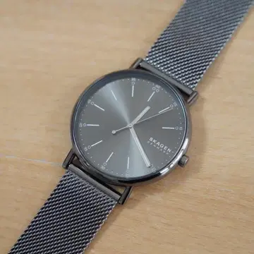 SKAGEN SIGNATUR 그레이 메쉬 손목시계