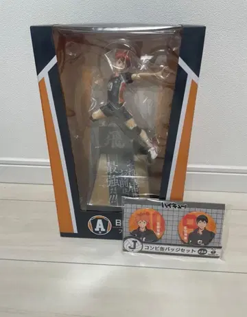 하이큐 해피 복권 A상 히나타 쇼요 J상 캔 배지 2개 세트