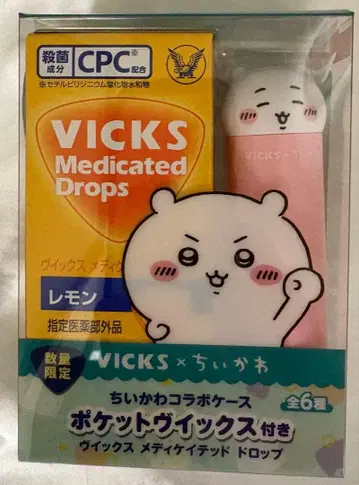 치이카와 빅스 케이스