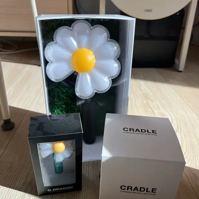 지디 데이지봉 & 미니 응원봉 & 화분 일괄판매