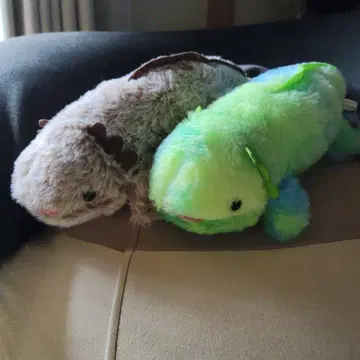 우파루파 어메이징 오션 클라인 봉제 인형 세트