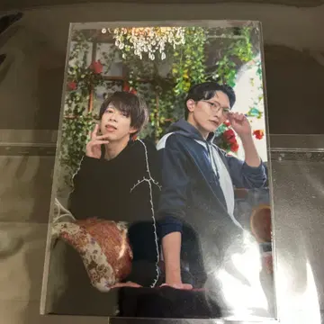 윈터 페어 쿠마가와 노미