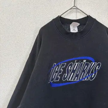 프룻 오브 더 룸 맨투맨 두툼한 자수 로고 미국 빈티지 의류 L 3230