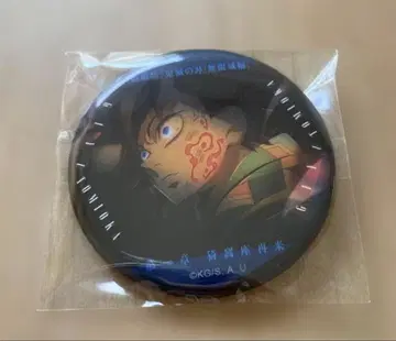 귀멸의 칼날 토미오카 기유 이야기가 담긴 눈빛 캔뱃지 기유