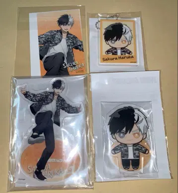 WIND BREAKER 세가 럭키 쿠지 사쿠라바 하루카