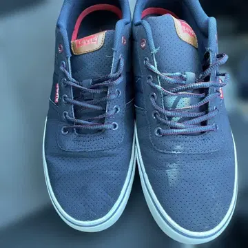 리바이스 스니커즈