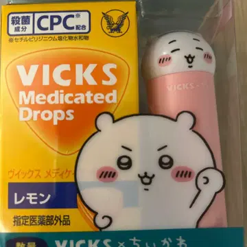 빅스 치이카와 콜라보 케이스