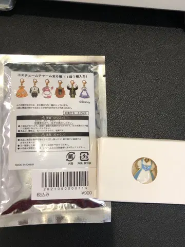 미녀와 야수 (극단 사계) 코스튬 참