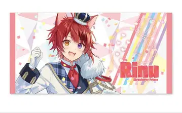 스토푸리 픽처 타월 (리이누)