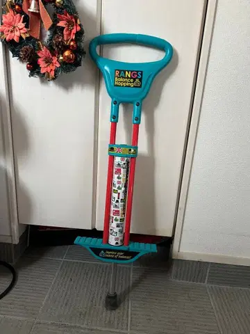 랑스 스카이콩콩