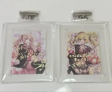 호시카와 사라 아크릴 사진 프레임 생일 굿즈